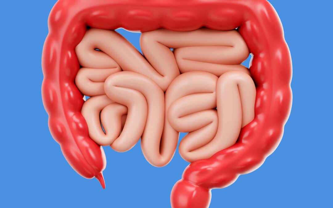 Intestino Preso: Causas, Sintomas e Soluções Eficazes